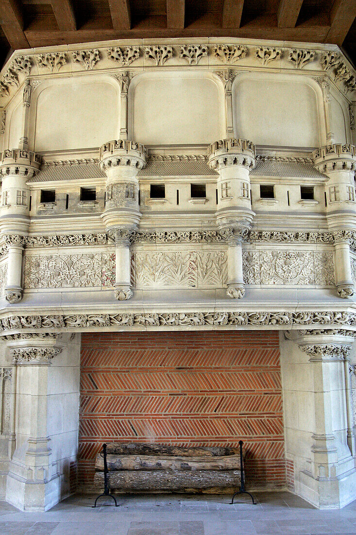 Interior Fireplace, Jacques Coeur Palace, Bourges, Cher (18), France