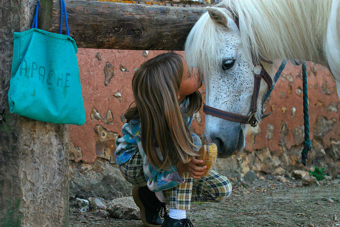 A Kiss For The Pony, Montigny-Sur-Avre Horse Farm, Eure-Et-Loir (28), France