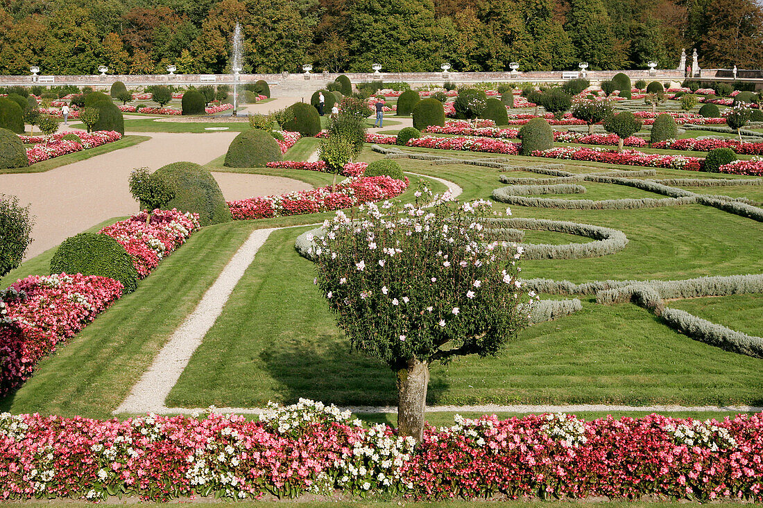 Diane De Poitiers Garden, Chateau De Chenonceau, Indre-Et-Loire (37), France