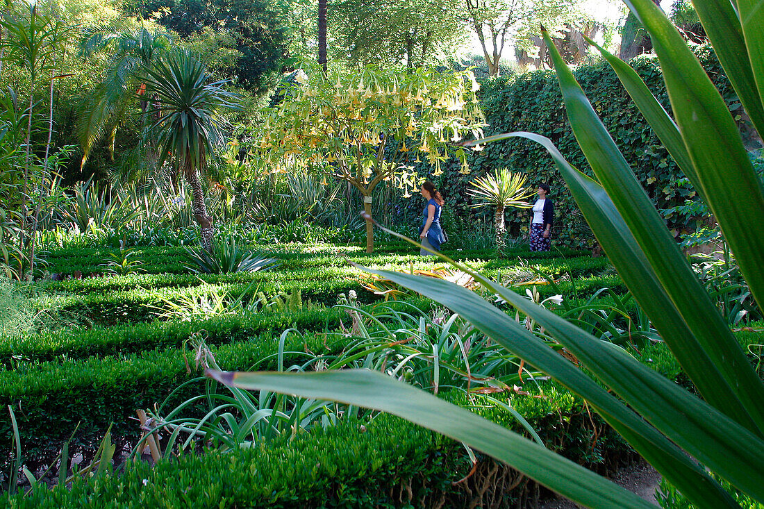 Botanical Gardens, Lisbon, Portugal
