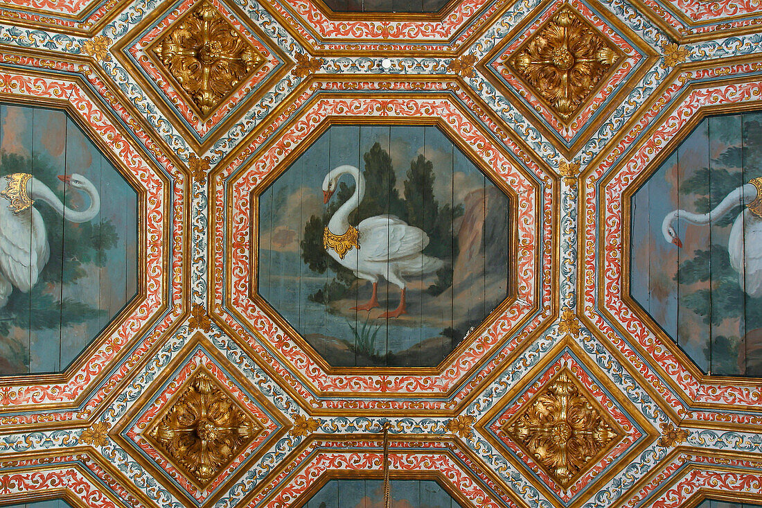 Ceiling In The Hall Of Swans (Salas Dos Cisnes), National Palace Of Sintra (Palacio National De Sintra), Sintra, Portugal