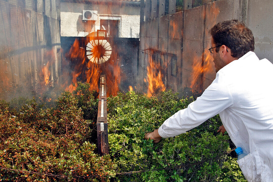 Testing The Effects Of New Retardants On The Local Ecosystem'S Vegetation In A Fire Tunnel, Products Used In The Fight Against Forest Fires, Scientific Studies And Research Applied To The Fields Of Fire Prevention And Emergency Services, Ceren Center For 