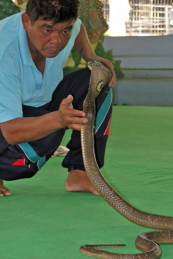 Snake Trainer, Snake Farm, Banks Of The Klongs, Small Canals, Bangkok, Thailand