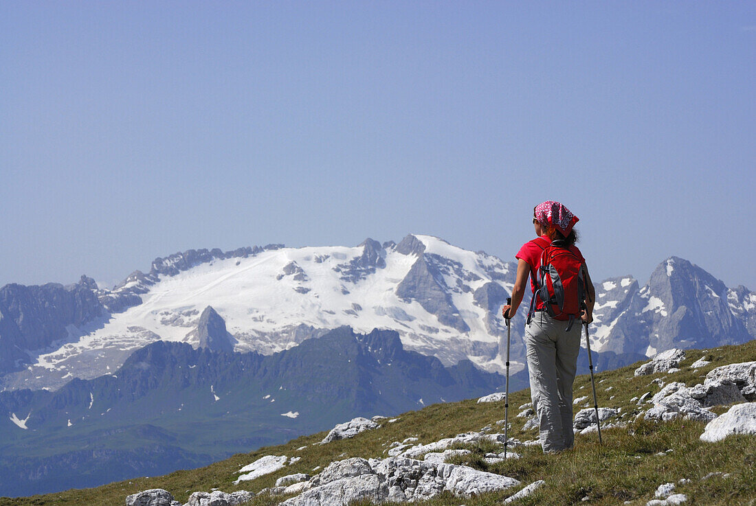 Frau wandert, Marmolata im Hintergrund, Naturpark Fanes-Senes-Prags, Dolomiten, Trentino-Südtirol, Italien