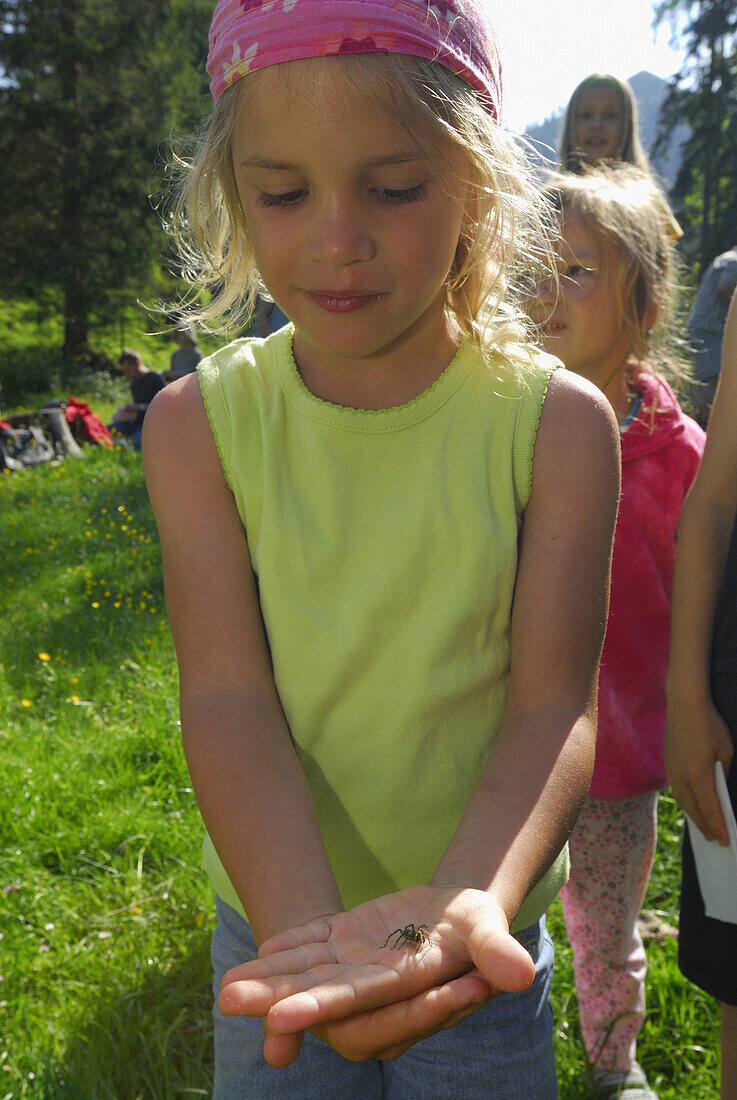 Girls holding a spider in hand, Bavarian Alps, Upper Bavaria, Bavaria, Germany