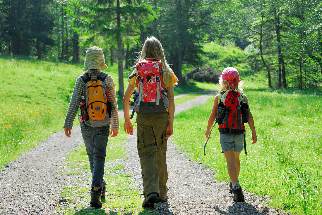 Three girls hiking along a meadow, Bavarian Alps, Upper Bavaria, Bavaria, Germany