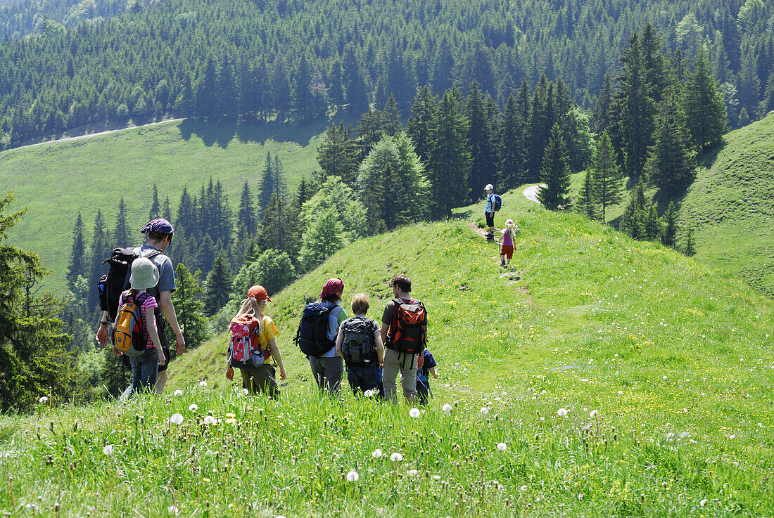 Wandergruppe mit Kindern überquert Blumenwiese, Bayerische Alpen, Oberbayern, Bayern, Deutschland