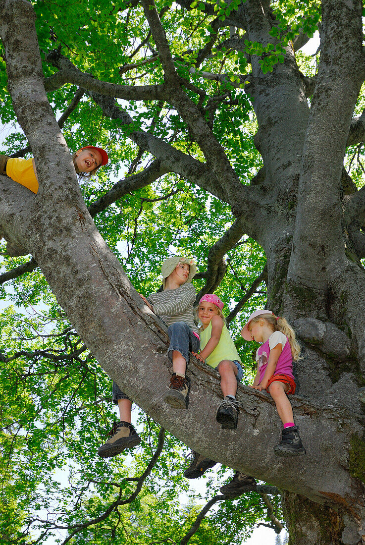 Girls sitting on a branch, Bavarian Alps, Upper Bavaria, Bavaria, Germany