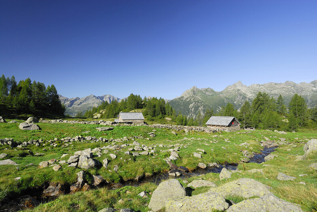 Alpe Mognola, Tessiner Alpen, Tessin, Schweiz