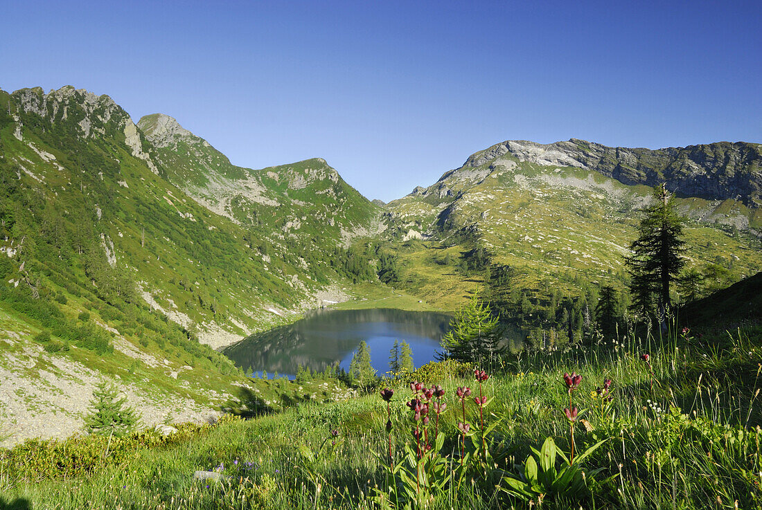 Bergsee Lago Alzasca, Tessiner Alpen, Tessin, Schweiz