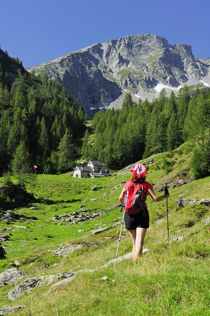 Frau wandert auf Almhütte zu, Alpe di Sfii, Pizzo dell'Alpe Gelato, Val di Campo, Tessiner Alpen, Tessin, Schweiz