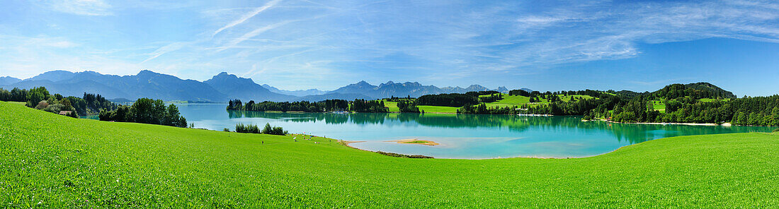 Panorama of lake Forggensee with Ammergau Alps and Tannheim range in background, Allgaeu, Swabia, Bavaria, Germany
