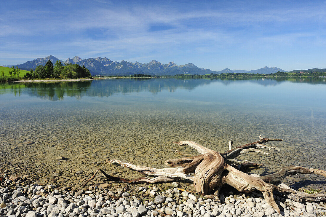 Lake Forggensee with Tannheim range in background, Allgaeu, Bavaria, Germany