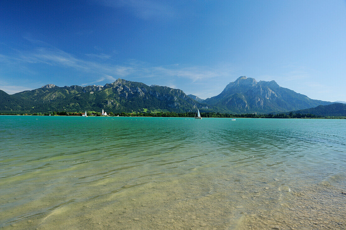 Forggensee mit Segelbooten, Ammergauer Alpen, Ostallgäu, Bayern, Deutschland