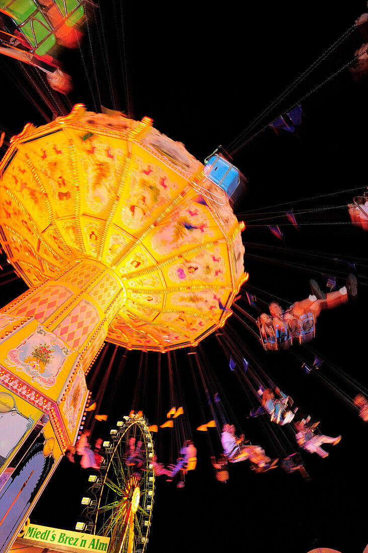 Illuminated chairoplane, autumn  festival, Rosenheim, Upper Bavaria, Bavaria, Germany