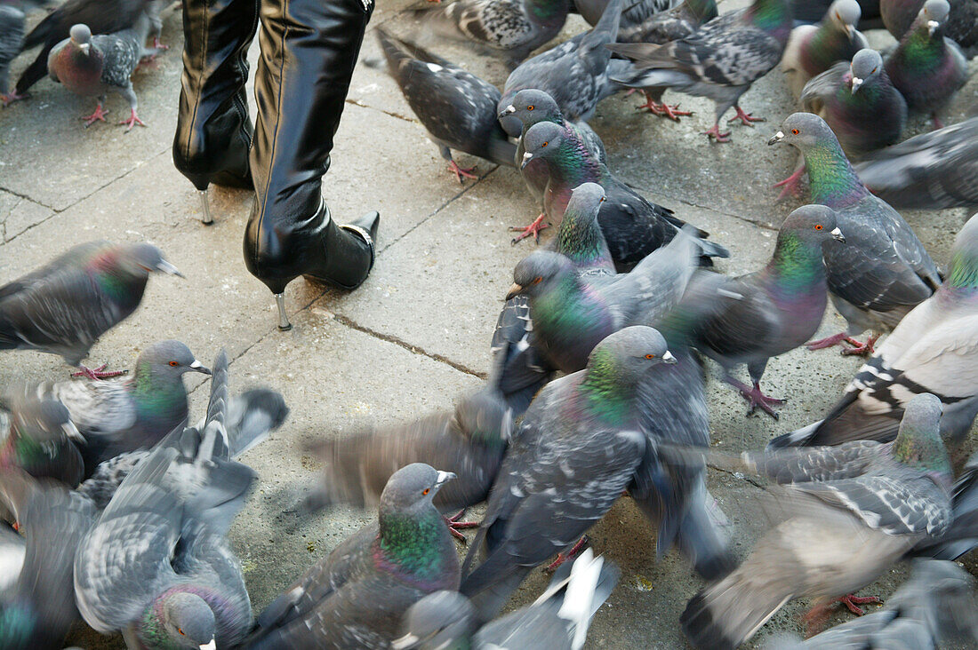 Woman wearing boots, standing in a flock of doves, Venice , Italy