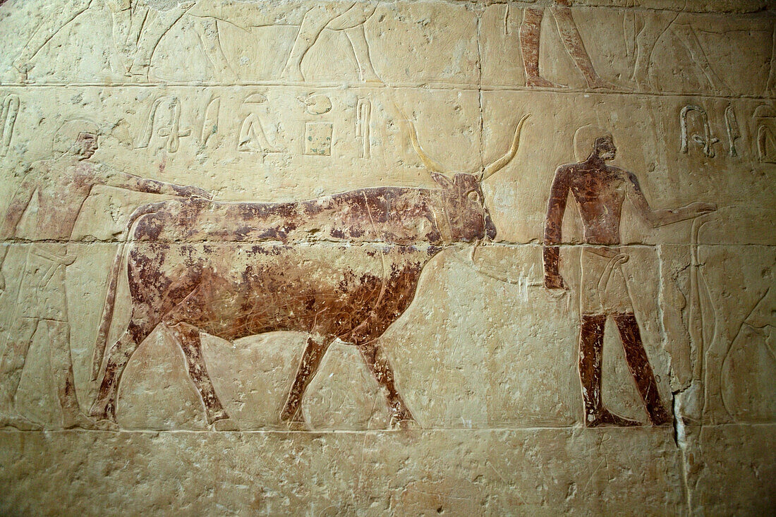 Inschrift an einer Mastaba bei Stufenpyramide Sakkara des Pharao Djoser, Aegypten, Sakkara