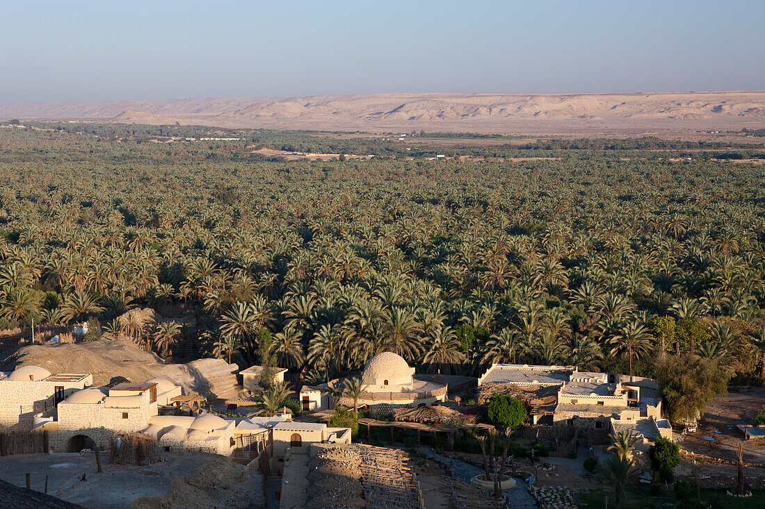 View on Bahariya Oasis, Egypt, Bahariya Oasis, Libyan Desert