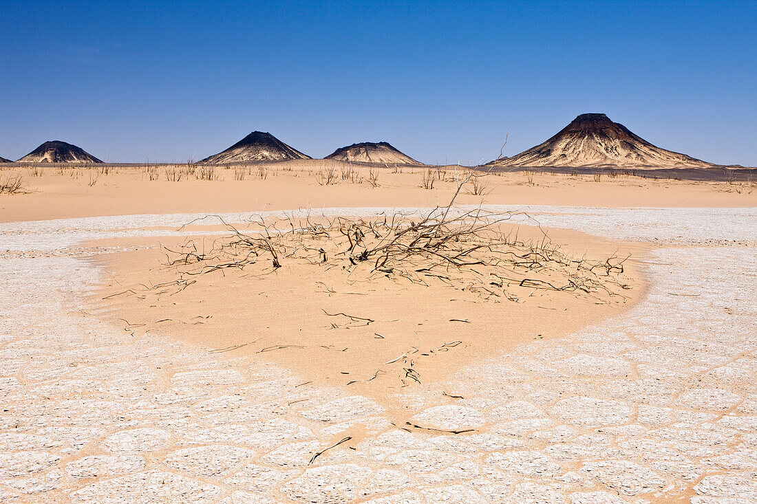 Desert near Bahariya Oasis, Egypt, Libyan Desert