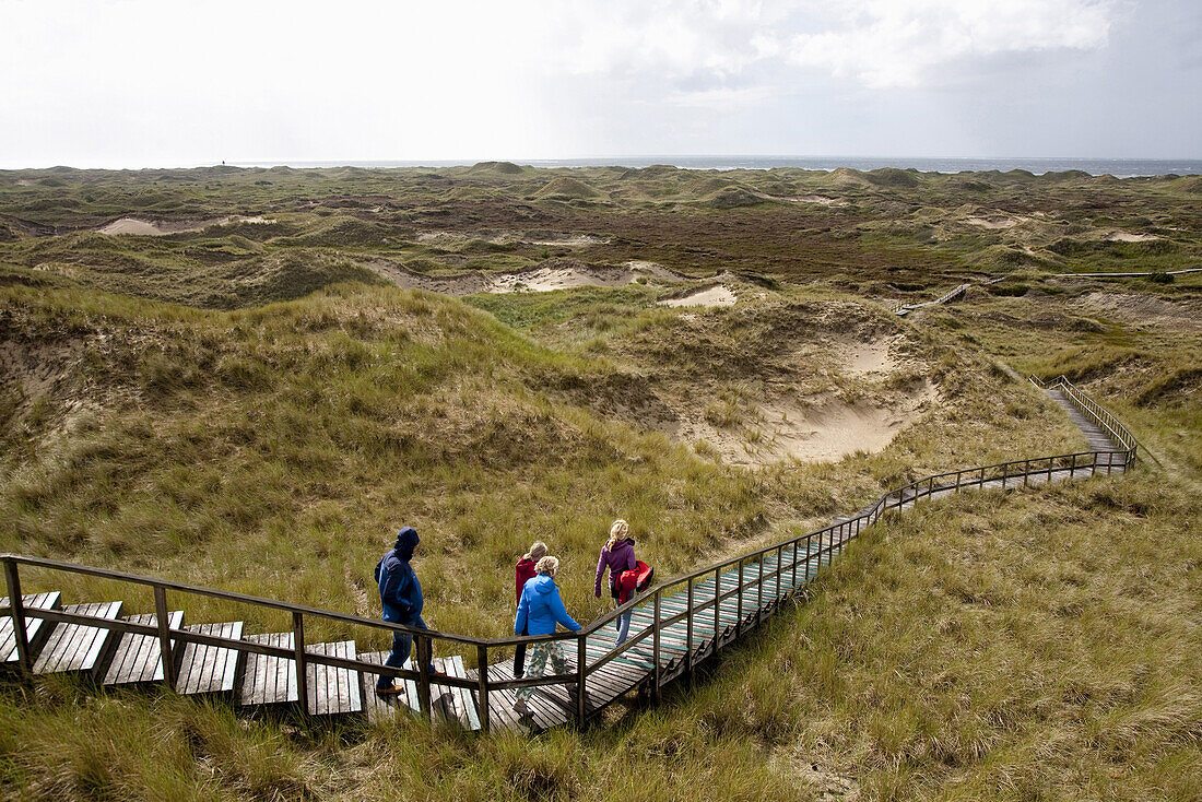 People walking along wooden path through dunes, Norddorf, Amrum island, Schleswig-Holstein, Germany