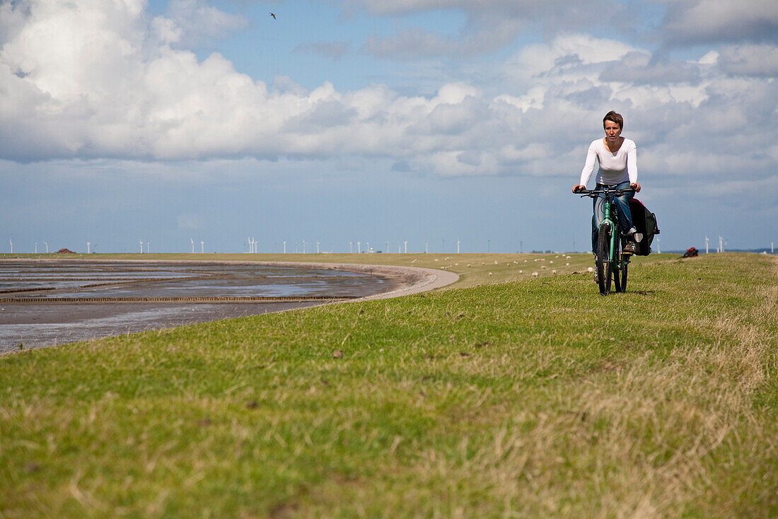 Woman cycling over dike, Beltringharder Koog, Luettmoorsiel, Nordstrand, Schleswig-Holstein, Germany