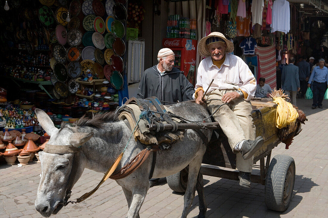 Men on a donkey cart with full of chickens on its way through the Souk, Marrakesh, Morocco, Africa