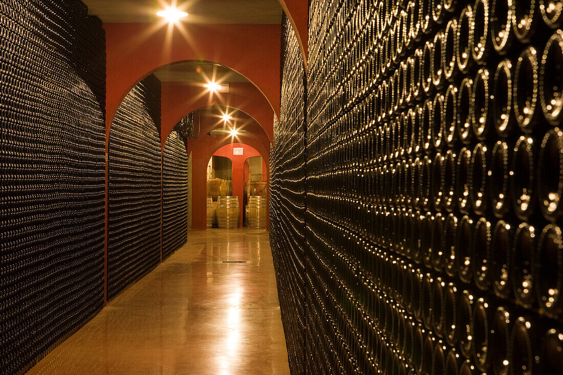 Bodegues Macia Batle Winery Cellar, Santa Maria del Cami, Mallorca, Balearic Islands, Spain, Europe