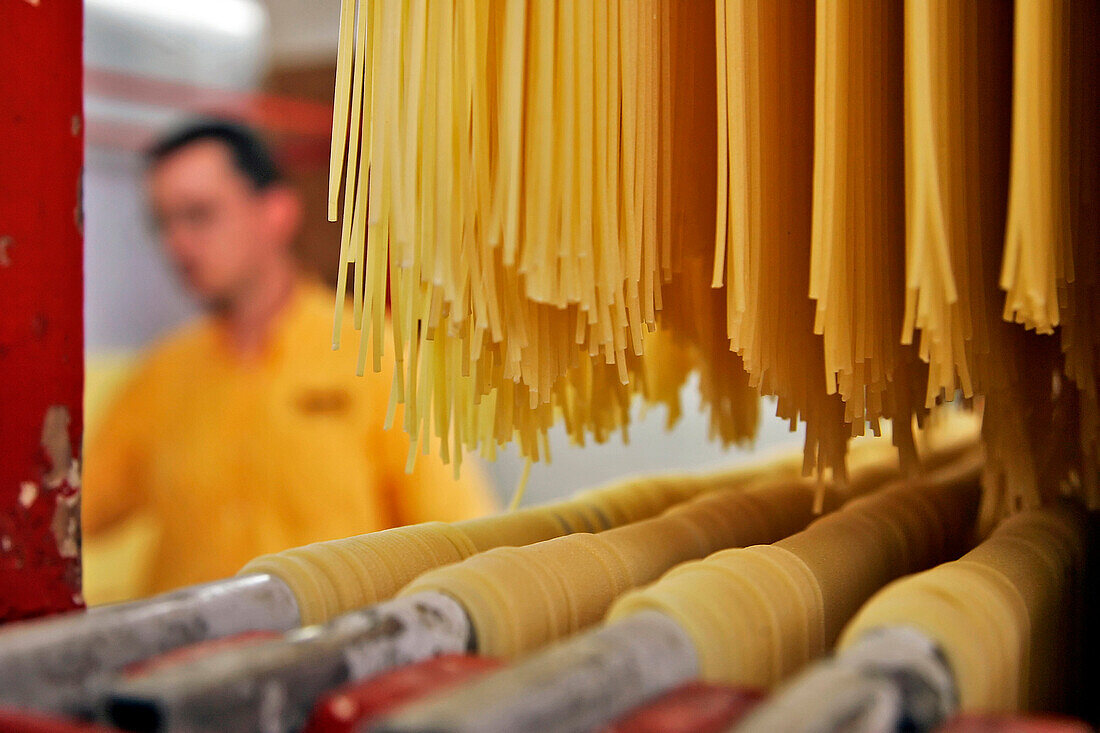 Traditionally¬ßmade Pastas (Spaghetti, Penne, Spaghettini, Macaroni). Martelli Family Enterprise Since 1926, Lari, Near Pisa, Tuscany, Italy
