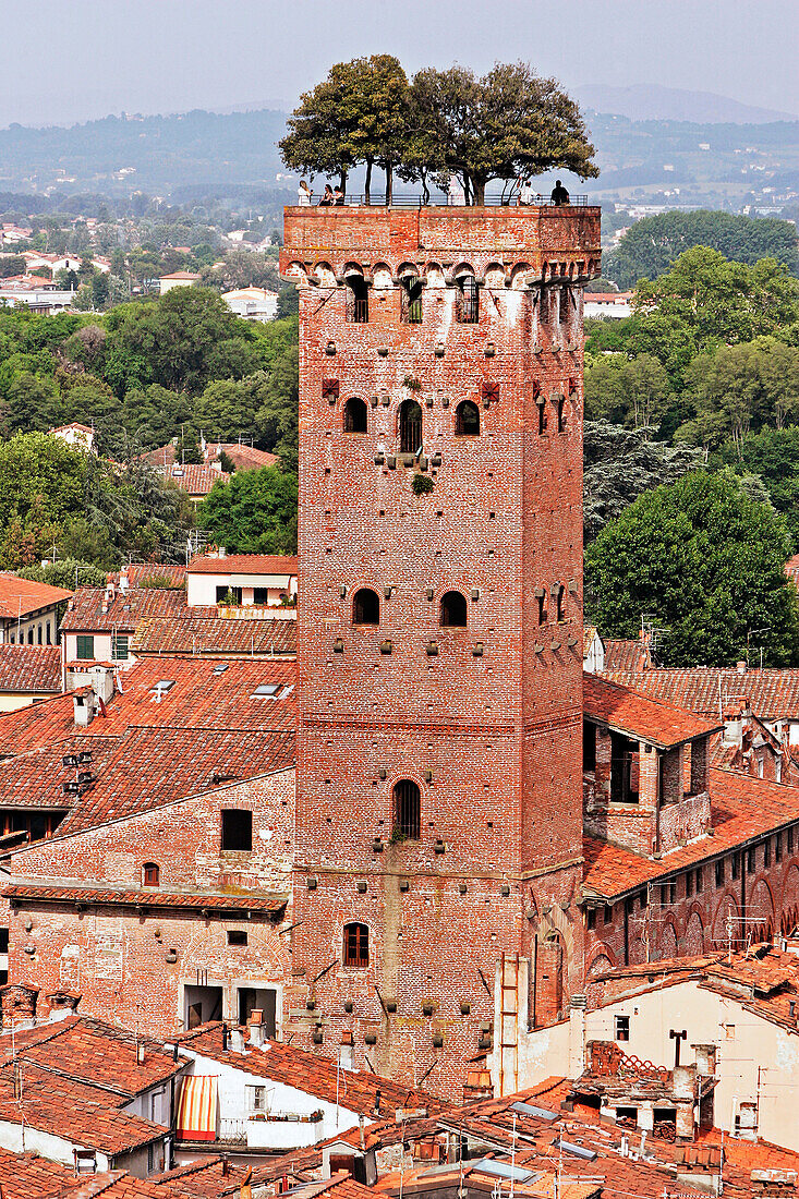 Torre Alberata Of The Palazzo Guinigi In Red Brick With Holm Oaks, Lucca, Tuscany, Italy