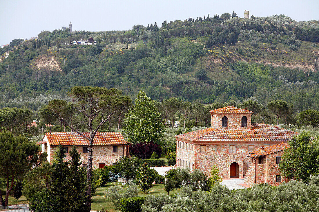 Agriturismo Il Selvino Amidst The Olive Trees And Vineyards, Via Pieve De' Pitti, Terricciola, Tuscany, Italy