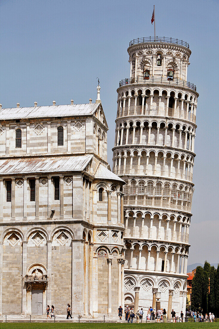 The Leaning Tower (Torre Pendente) On The Campo Dei Miracoli, Pisa, Tuscany, Italy
