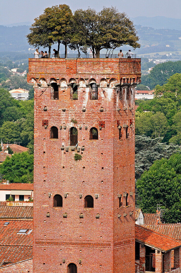 Torre Alberata Of The Palazzo Guinigi In Red Brick With Holm Oaks, Lucca, Tuscany, Italy