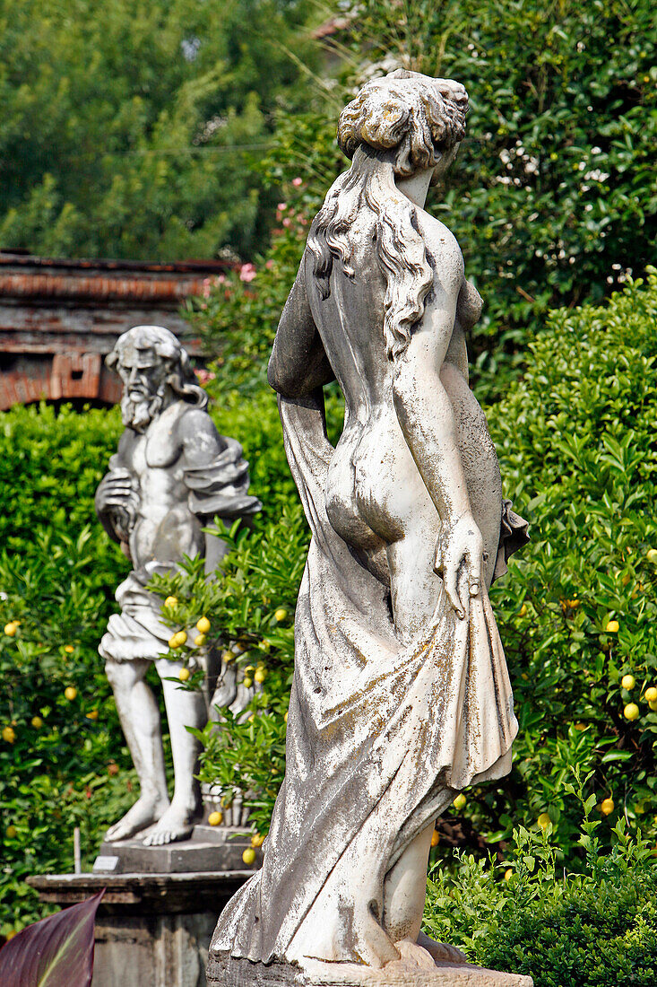 Garden In The Palazzo Pfanner With Its Statues, Its Rosebushes And Lemon Trees, Lucca, Tuscany, Italy