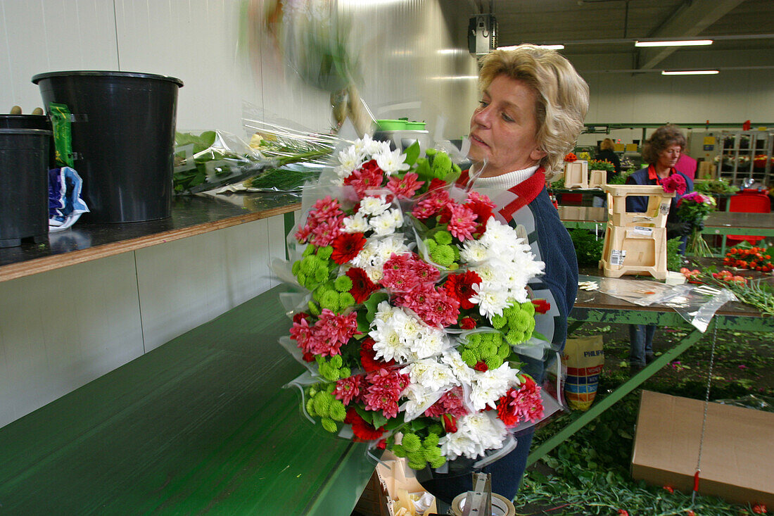 Bouquet Assembly Line' At An Exporter'S. One Worker Is Responsible For One Flower That She Puts On A Conveyer Belt. A Bouquet Comes Out At The End Of The Chain, Netherlands, Europe