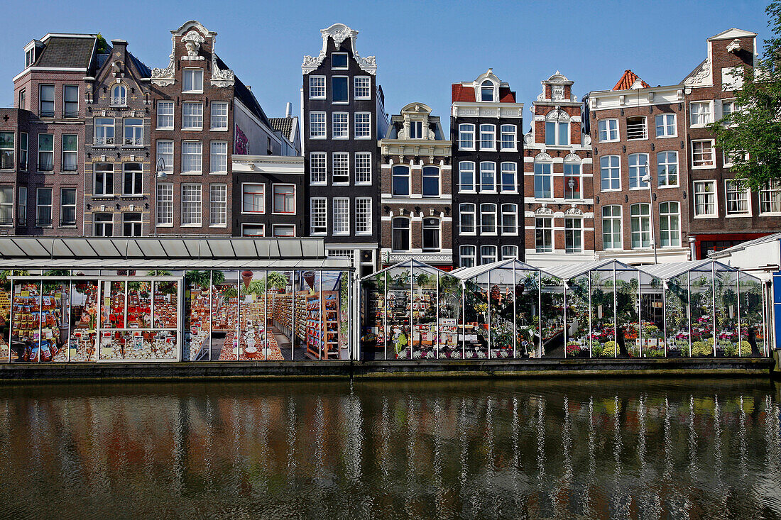 Flower Market, Bloemenmarkt Amsterdam, Netherlands, Holland