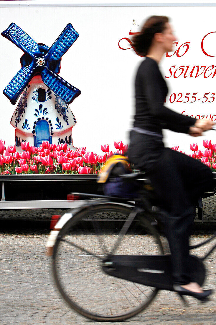 Young Woman On A Bicycle, Photo Poster Of A Windmill In Delft China And Pink Tulips, Three Of The Symbols Of Holland