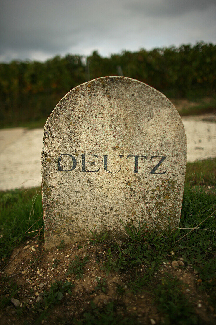 Stone Markers From The Vineyards Of The Great Champagne Makers, Deutz, Marne (51)