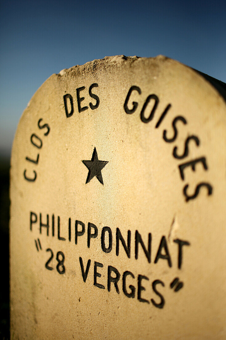 Stone Markers From The Vineyards Of The Great Champagne Makers, Philipponnat, Marne (51)