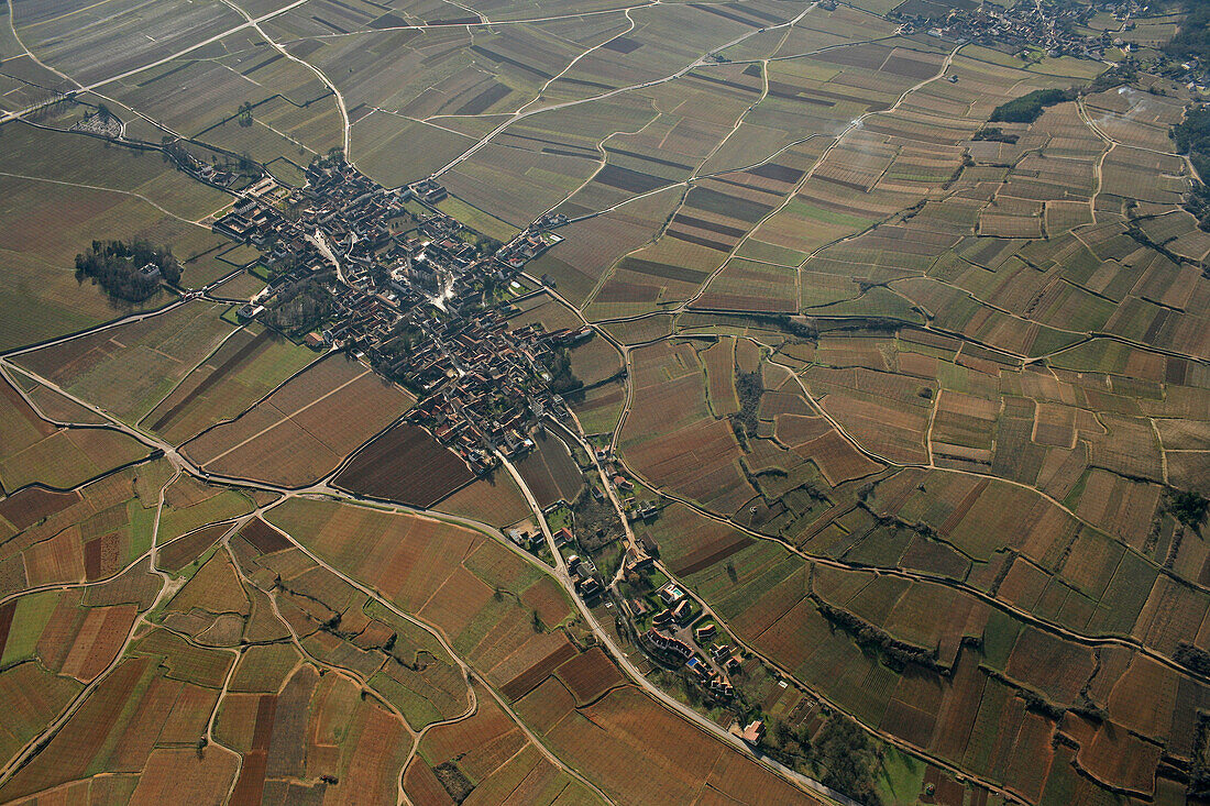 Village Of Pommard. Mainly Red Wines Are Produced Here, Cote D'Or (21)
