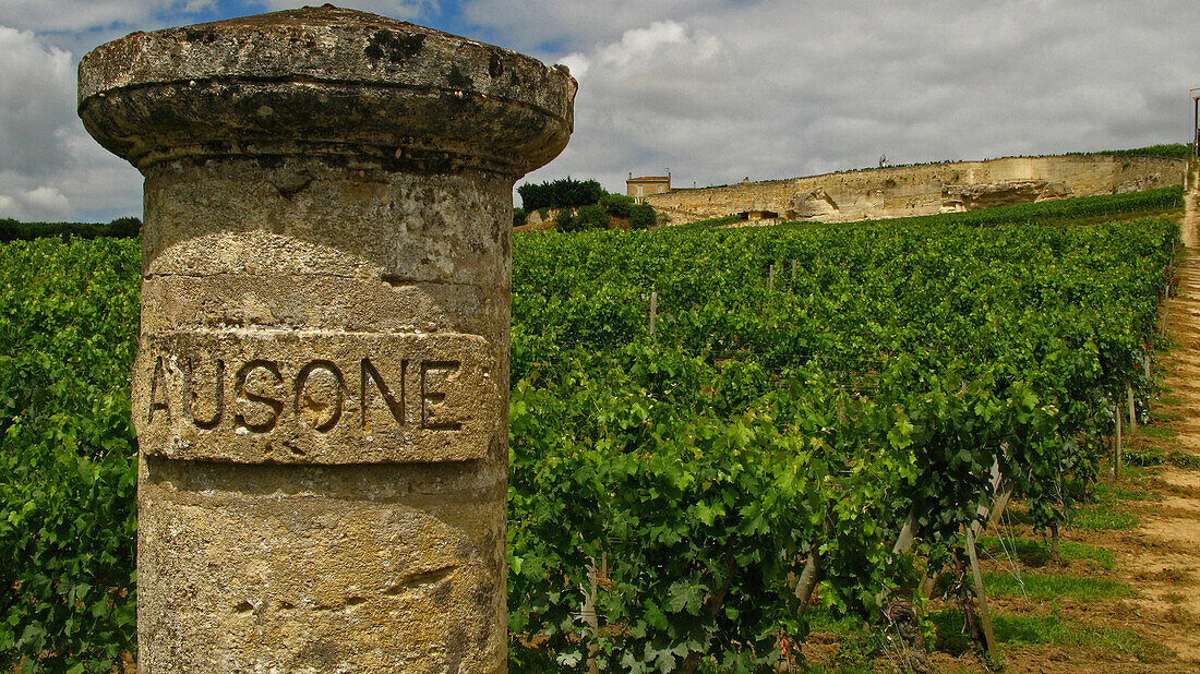 Chateau Ausone. Saint-Emilion. Great Wines Of Bordeaux (33)