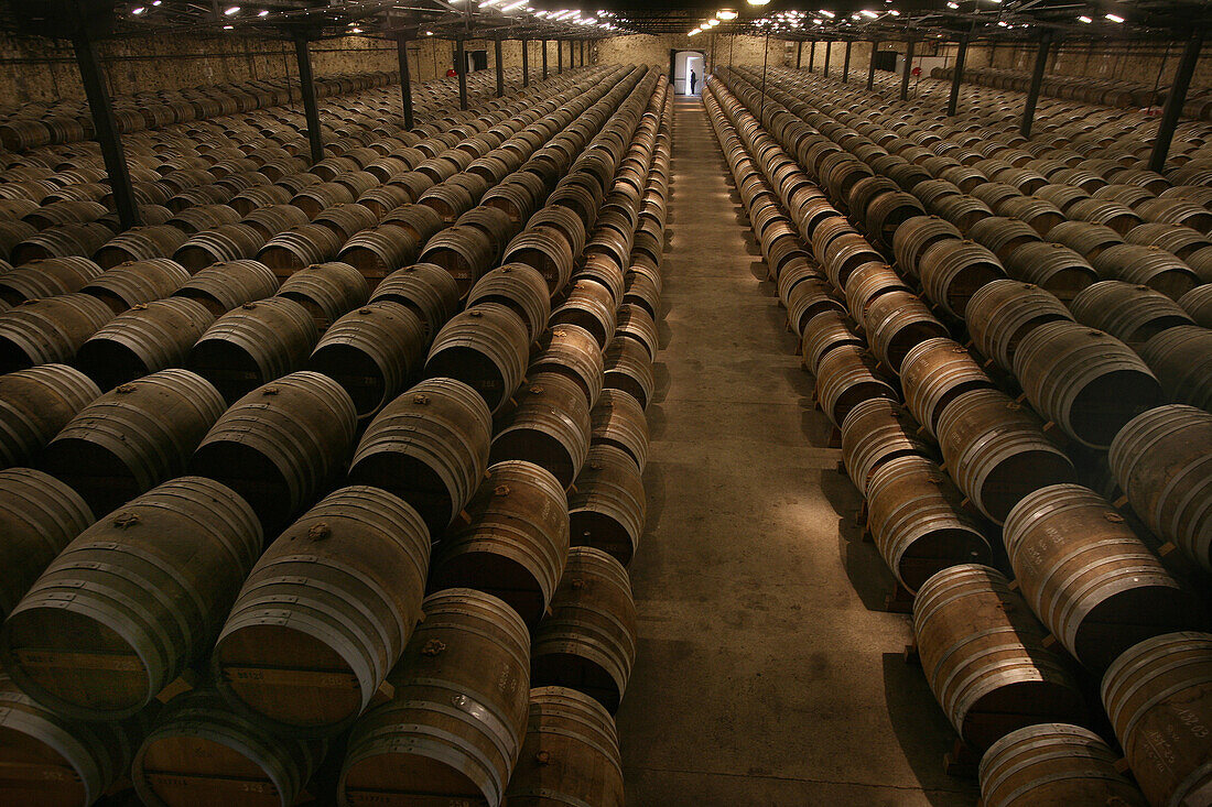 Storage Of Vats Of Cognac At Remy Martin. Cognac, Charente Maritime (17)