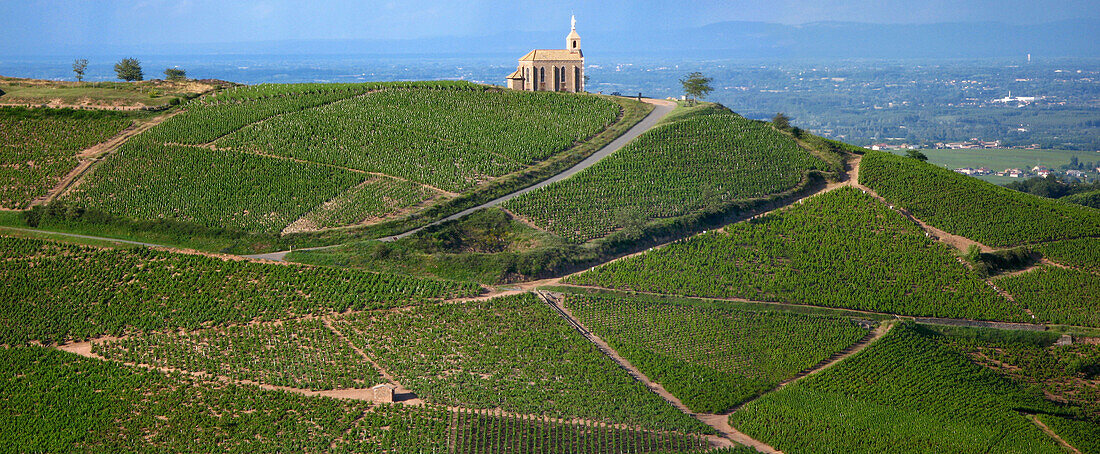 Chapel Of The Madonna In Fleurie, In The Vineyards Of Beaujolais, Rhone (69)