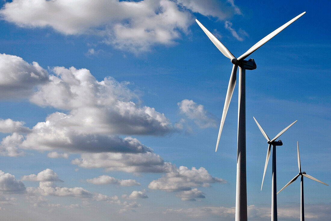 Wind Turbines By The Sea On The Heights Of Fecamp, Seine-Maritime (76)