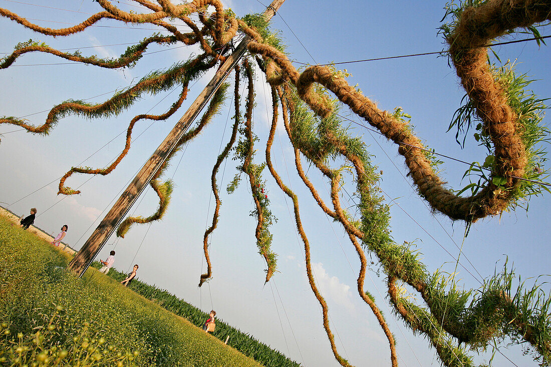 Fields In The Beauce, Authueil, Giant Plant Sculpture Euroland, Art, First European Festival Of Life-Size Art On The Wheat Route In Beauce, Eure Et Loir (28)