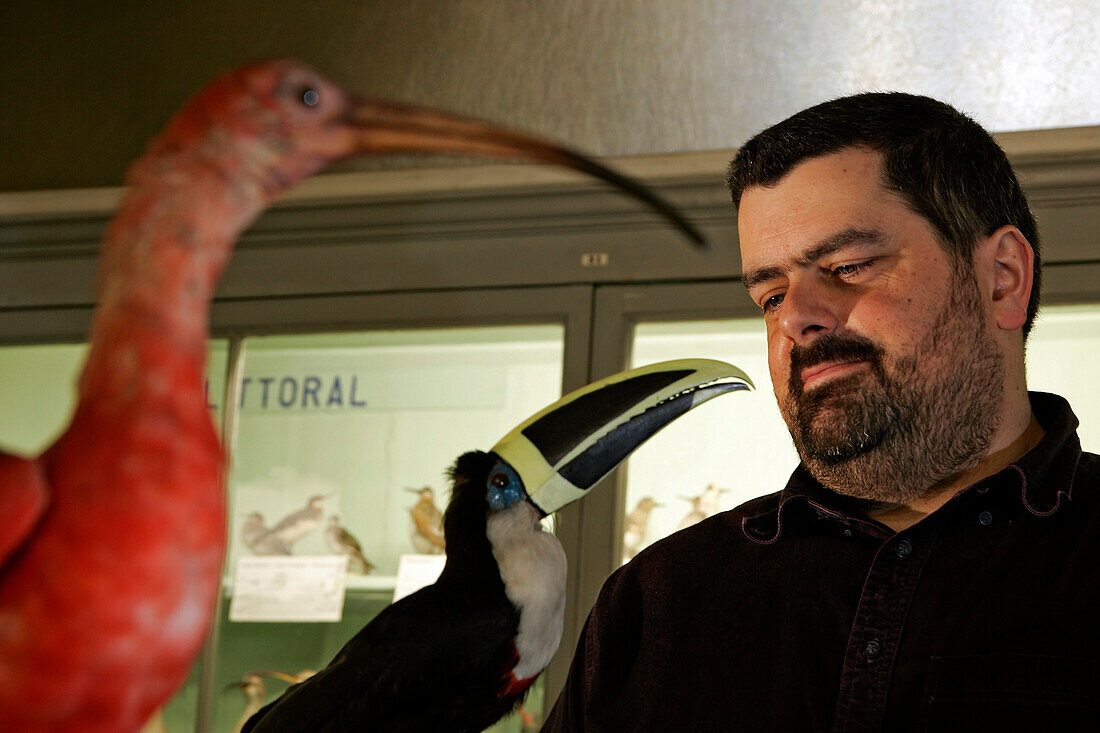 Thierry Kermanach, Bird Inventory, Toucan And Red Ibis, Hall Of Birds, Museum Of Natural History In Rouen, Seine-Maritime (76), France