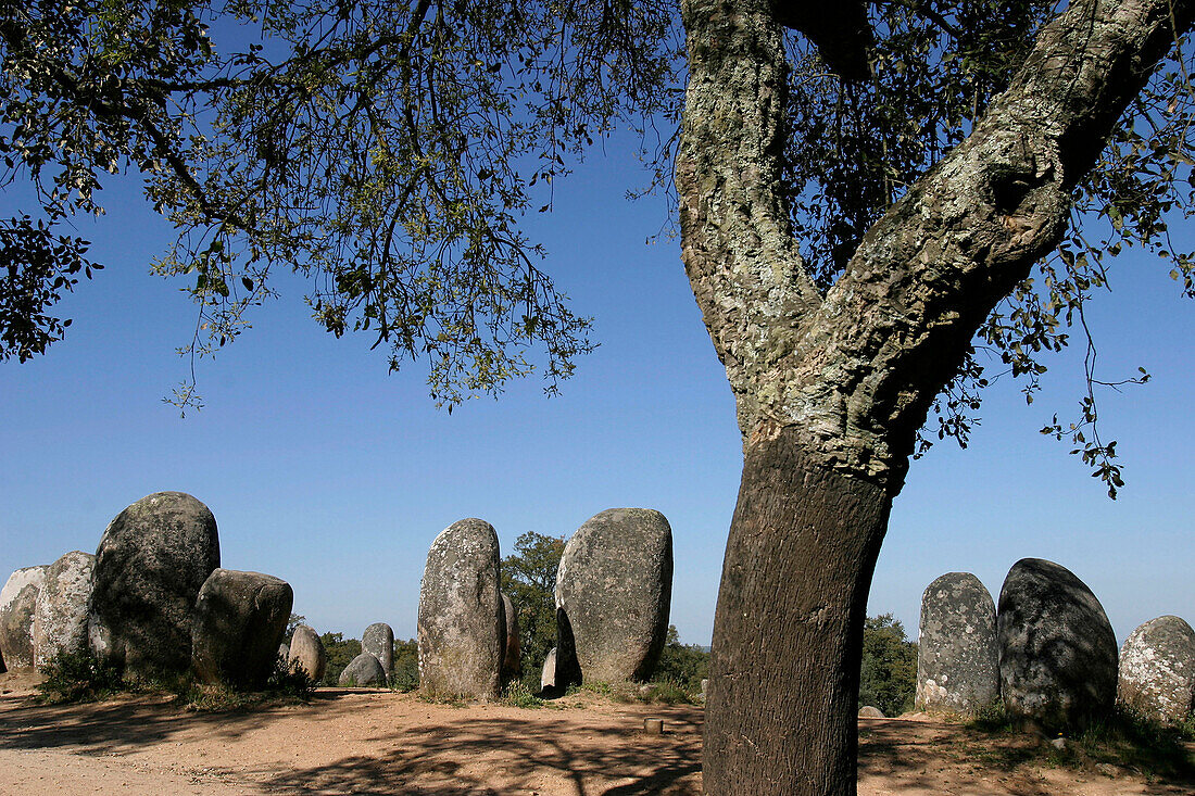 Comeleque D'Almendres Megalithic Monument Near Evora, Alentejo, Portugal