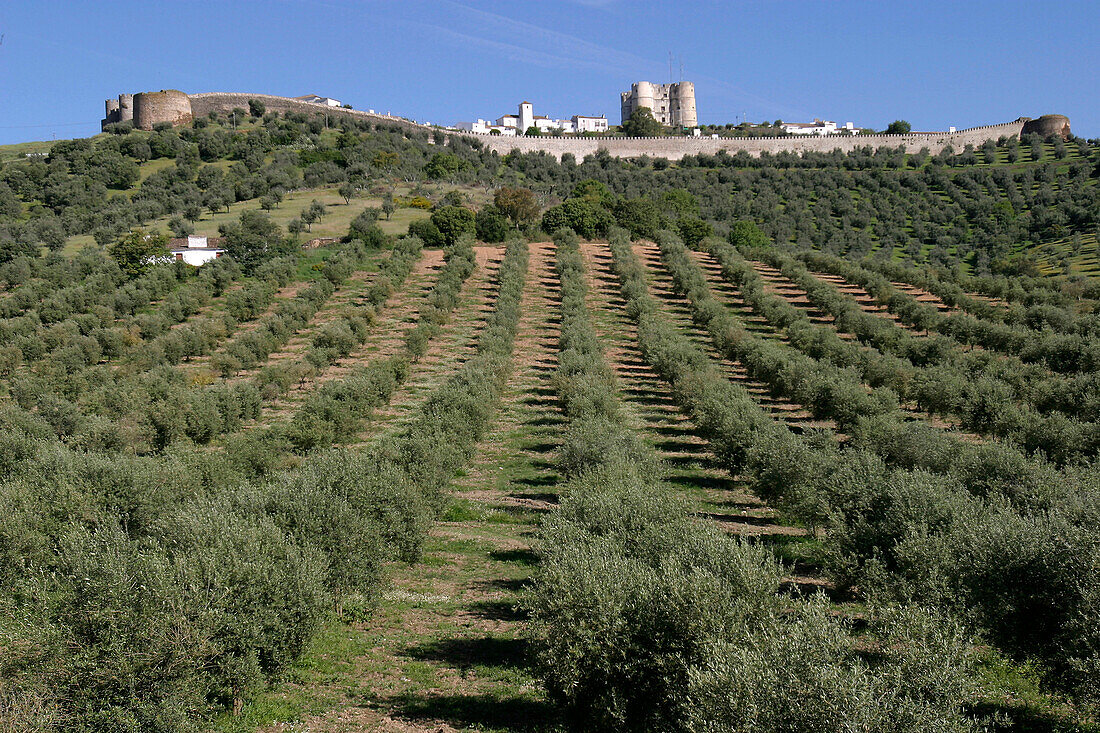 Fortified Town Of Evoramonte And View Of The Neighboring Lands, Alentejo, Portugal