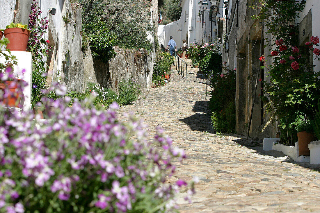 Flowering Little Streets, La Judiaria, Jewish Quarter, Castelo De Vide, Alentejo, Portugal