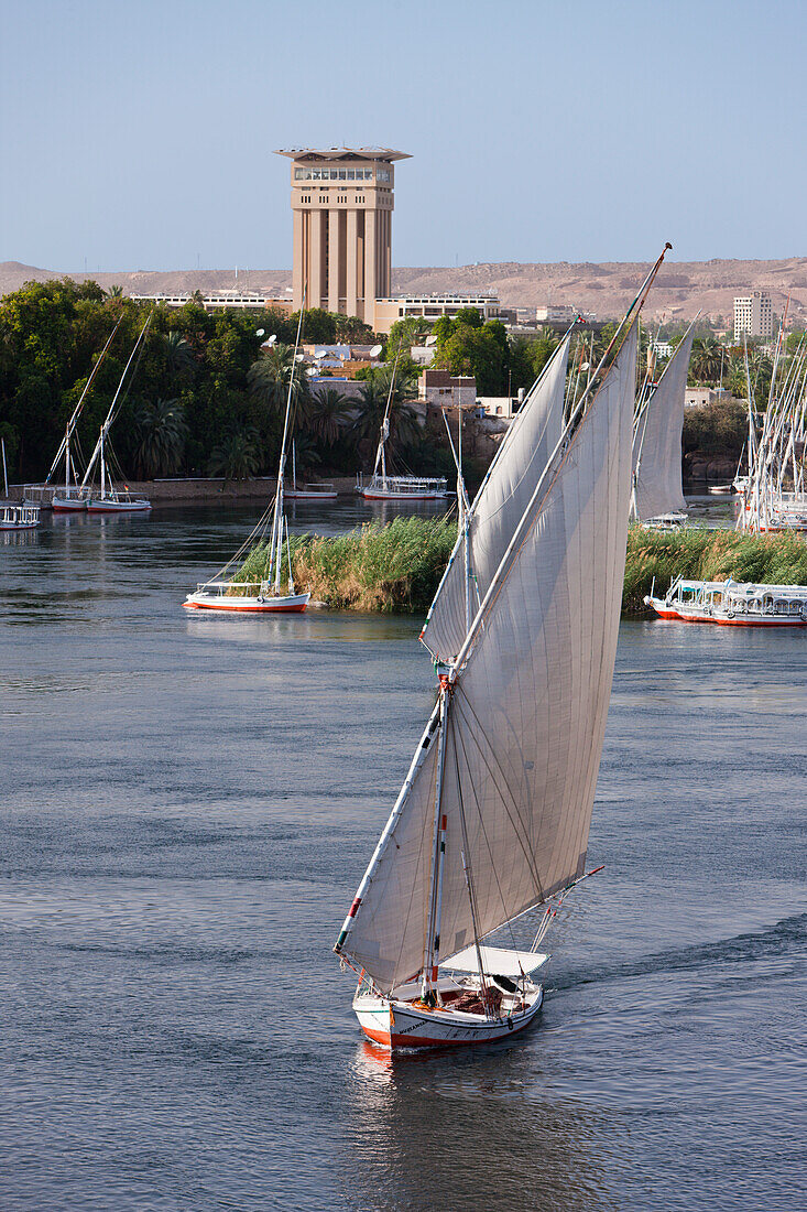 Feluken auf dem Nil, Assuan, Ägypten