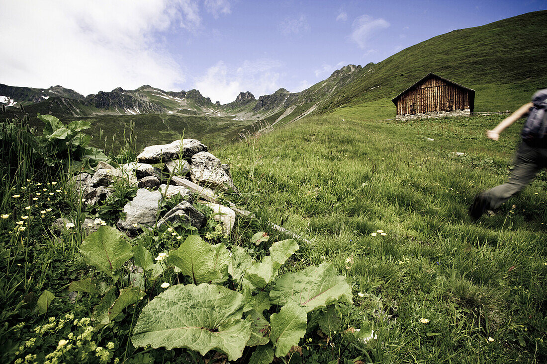 Frau beim Wandern, Obere Röbi Alm, Gargellen, Montafon, Vorarlberg, Österreich